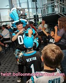 Working for the Carolina Panthers